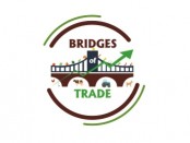 proiect BRIDGES